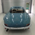 back dk gullwing